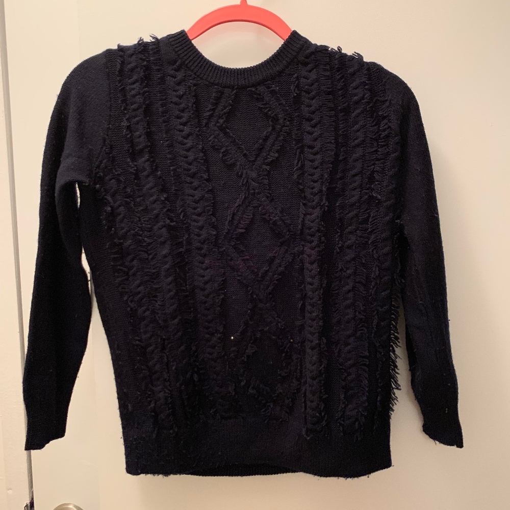 J Crew navy sweater